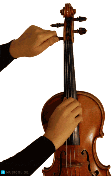Grobstimmung der Geige animiert